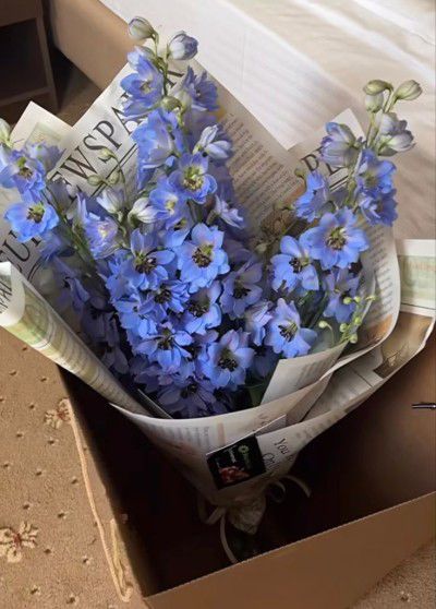 a bouquet of blue flowers sitting in a box