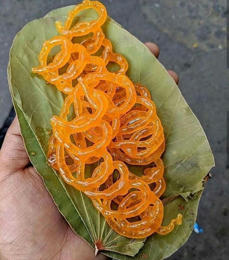 a person holding up a leaf with orange rings on it's end and some green leaves around the edges