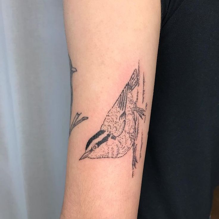 a small bird tattoo on the arm