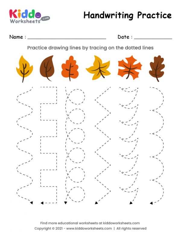 the worksheet for handwriting practice with autumn leaves and lines to help children learn how to