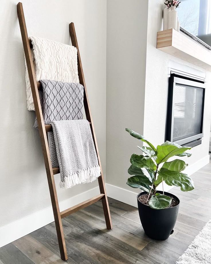 a wooden ladder leaning against a wall next to a potted plant