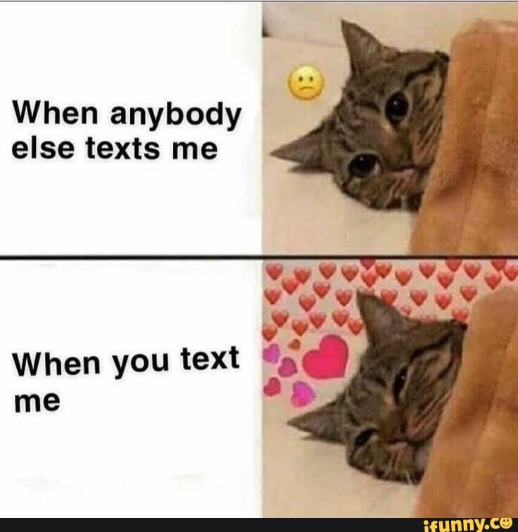 a cat laying on top of a bed next to a pillow with the caption when anybody else texts me when you text me