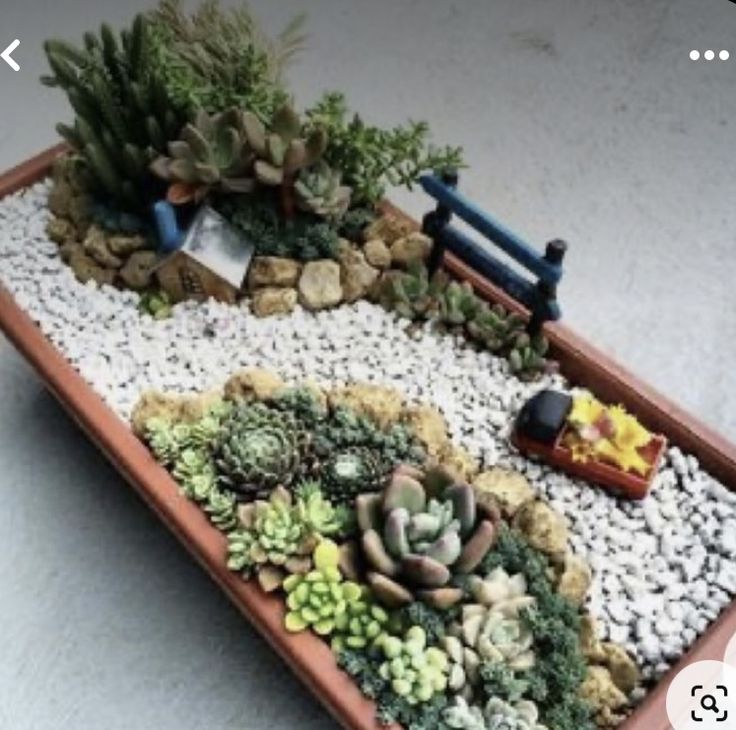 there is a planter with succulents and rocks in it