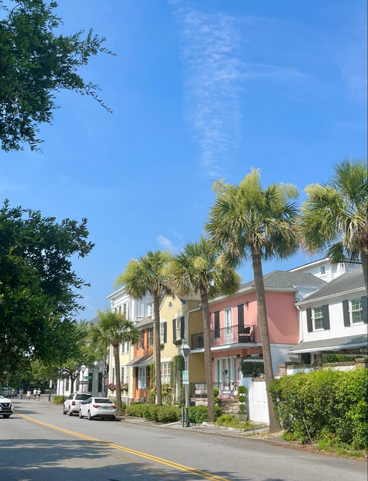 a row of houses with palm trees lining the street and cars parked on the side of the road