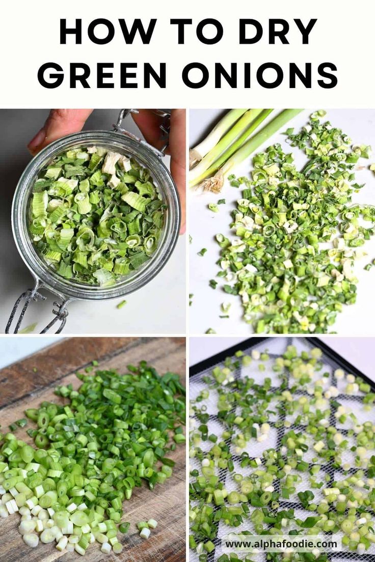 how to dry green onions in a jar and then cut them into small pieces for cooking