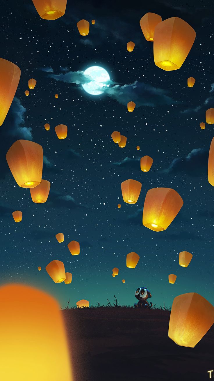 there are many lanterns flying in the sky