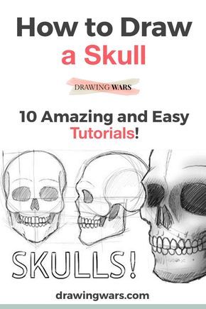 how to draw a skull in 10 easy steps