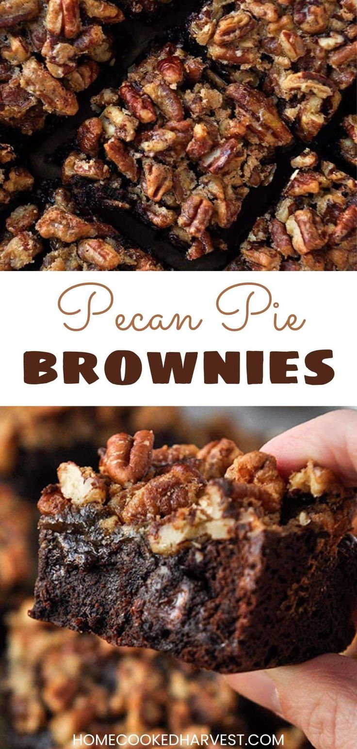 pecan pie brownies are made with chocolate, pecans and walnuts in the crust