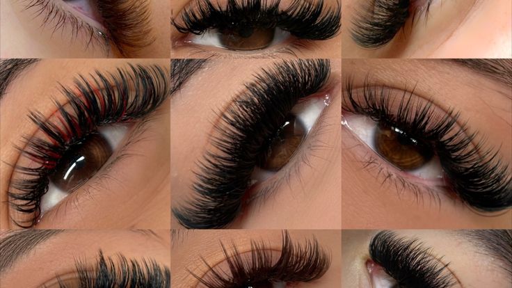 thelashlook.bl | lash extensions