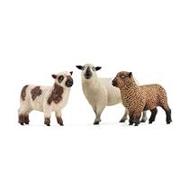 three sheep standing next to each other on a white surface