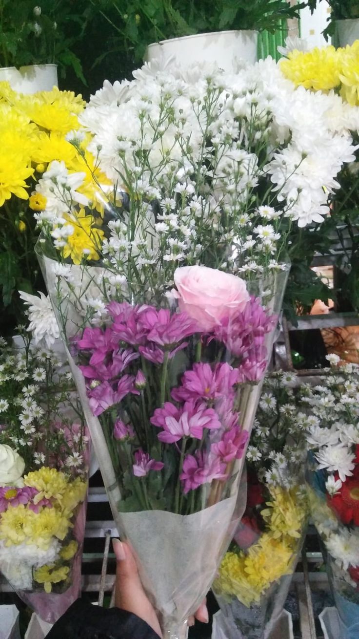 a person holding a bouquet of flowers in front of many other colorful flowers on display