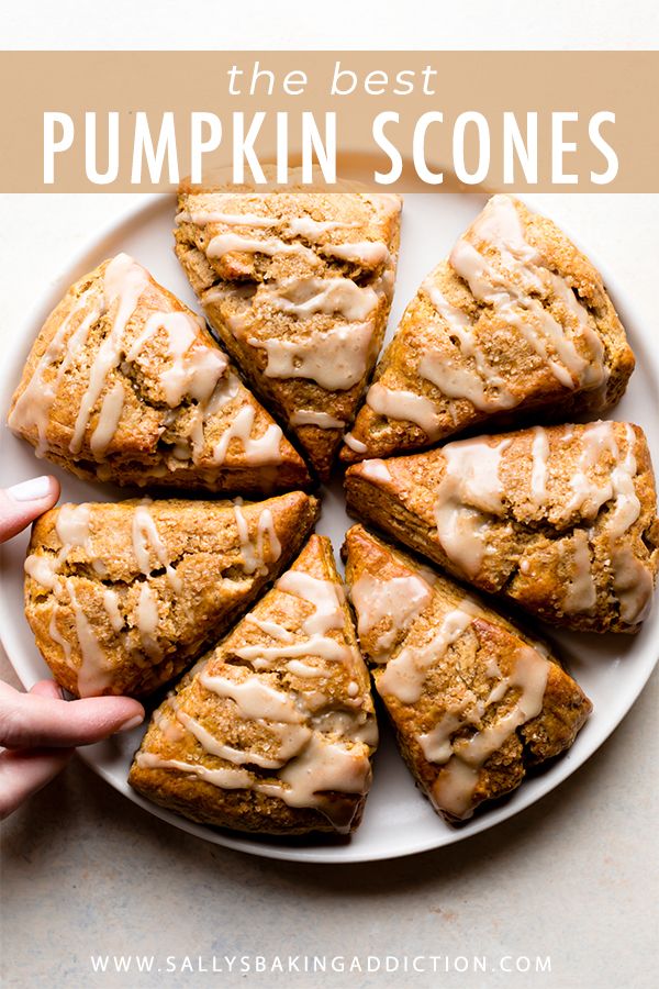 the best pumpkin scones on a white plate