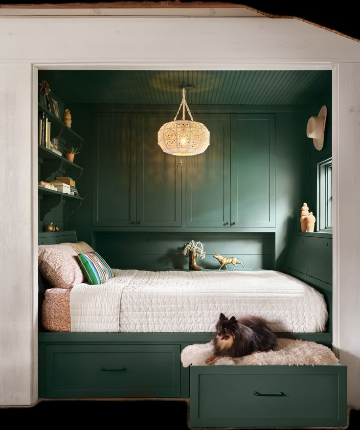 a dog laying on top of a bed in a room with green walls and drawers