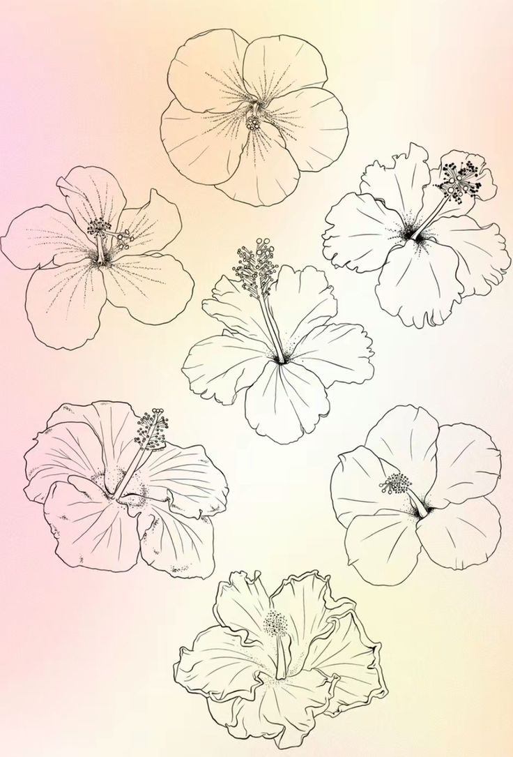 four flowers are shown in black and white on a light pink background with the words, flower