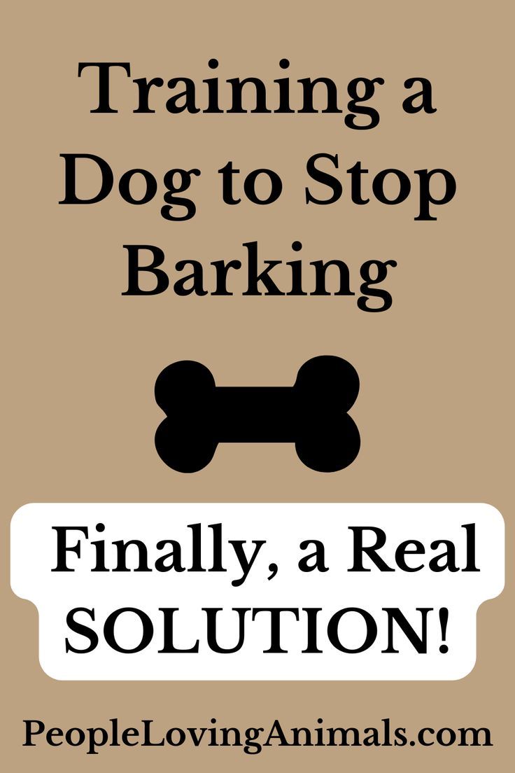 Training a Dog to Stop Barking Training A Dog, Stop Dog Barking, Dog Behavior Training, Dog Behavior Problems, Dog Training Advice, Dog Brain, Dog Training Techniques, Calm Dogs, Aggressive Dog