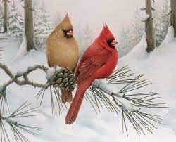 two birds sitting on top of a pine tree branch in the snow with pine cones