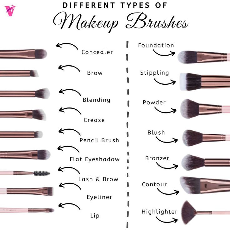 Brush Make Up Function, Makeup Notes Ideas, Make Up Brushes Guide, Makeup Teaching, Makeup Notes, Bronze Makeup Look, Makeup Brush Uses, Brush Make Up, Essential Makeup Brushes