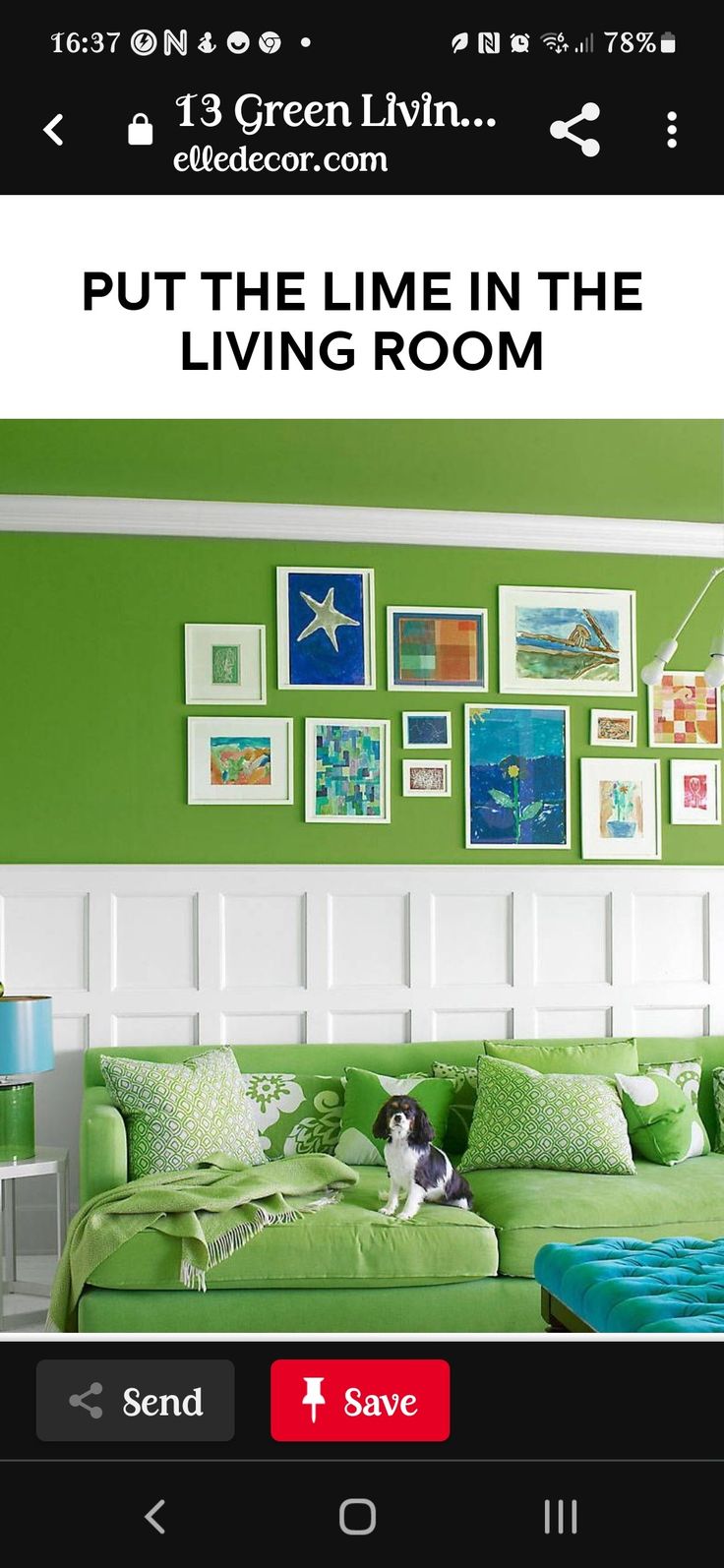 a living room with green walls and pictures hanging on the wall, along with a black and white cat