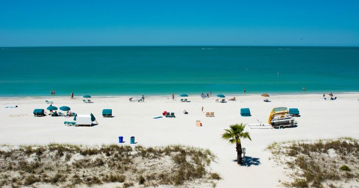 the beach is crowded with people and trucks on it's white sand, while palm trees stand in the foreground