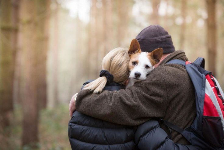 a man and woman hug while walking through the woods with a dog on their back