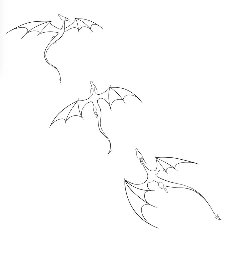 two flying dragon outlines on a white background