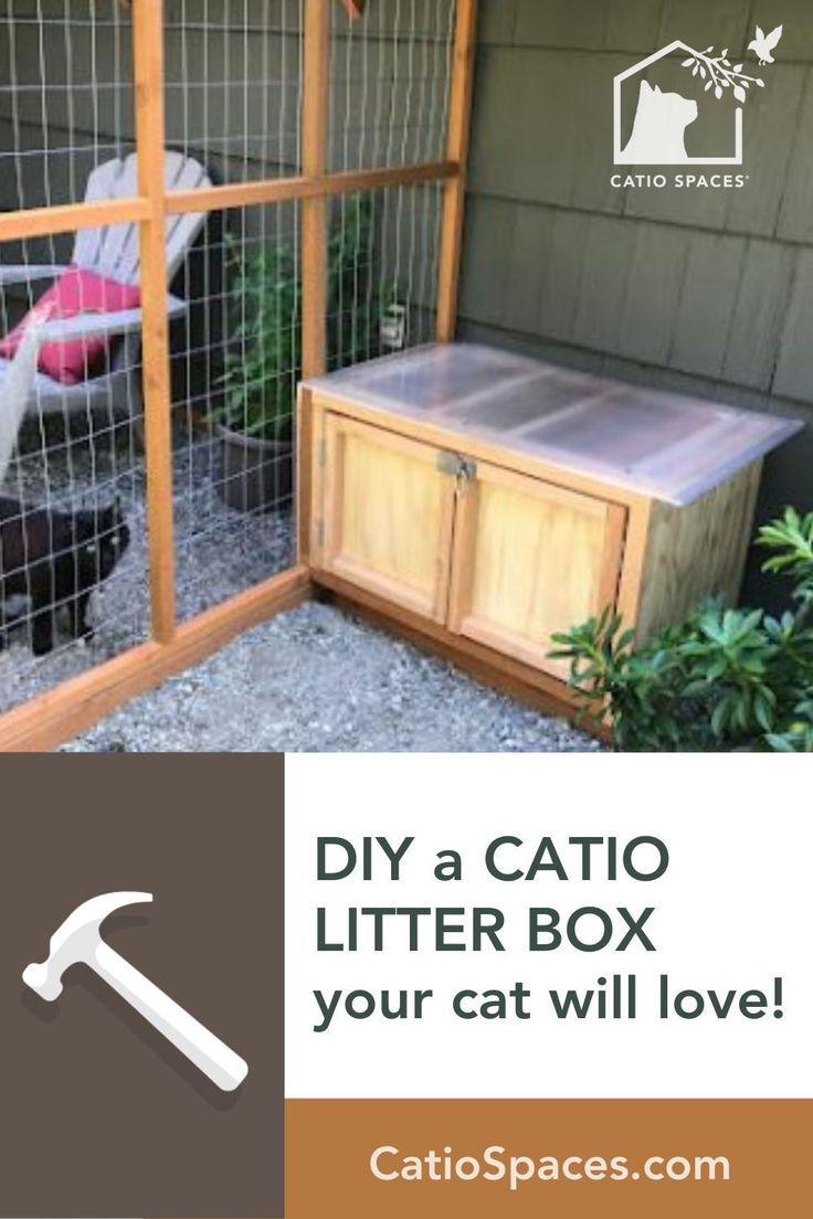 the diy catio litter box for your cat will love it's space