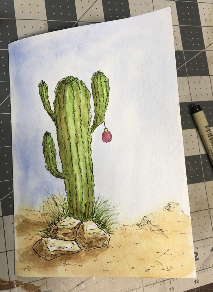 a drawing of a cactus with an ornament hanging from it's back