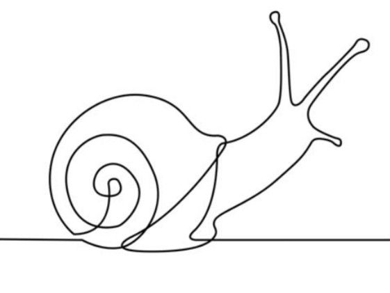 a line drawing of a snail