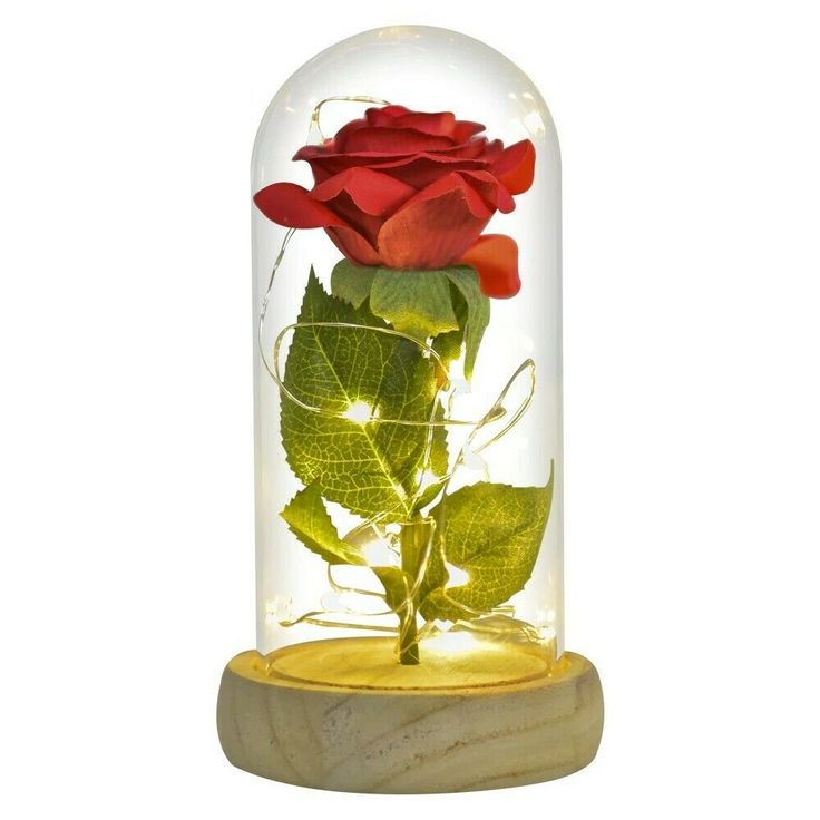 a red rose in a glass dome with light up leaves on the bottom and base