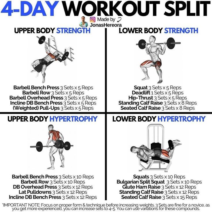 Do not forget to Follow me 4 Day Split Workout, Split Workout Routine, 4 Day Workout, Workout Split, How To Split, Full Body Workout Routine, Workout Splits, Muscle Building Workouts, Weight Training Workouts