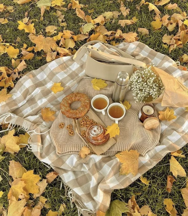 a picnic blanket with food and drinks on it