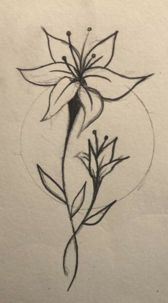 a drawing of a flower on paper