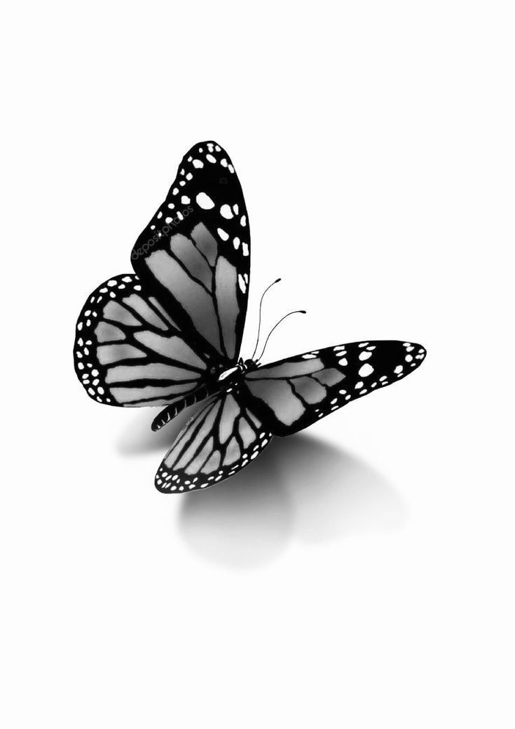 a black and white butterfly flying in the air