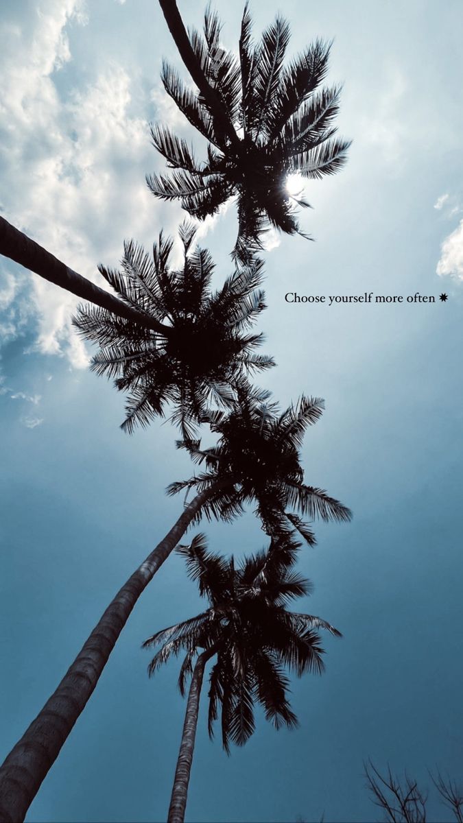 three tall palm trees against a blue sky with the words choose yourself more often on it