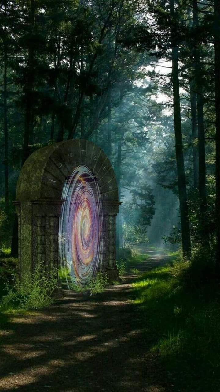 an arch in the middle of a forest with light coming from it's center