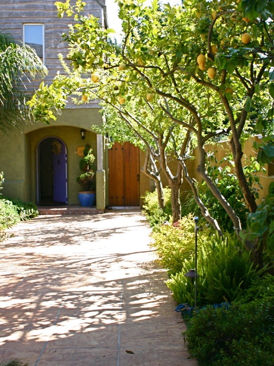 an entrance to a house with trees and bushes in front of the house on a sunny day