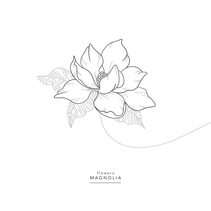 a black and white drawing of a flower on a white background with the words, flowers in magnoliaia