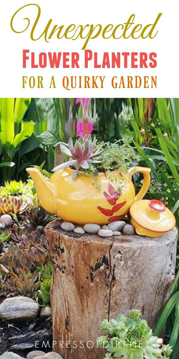 a yellow tea pot sitting on top of a tree stump next to plants and rocks