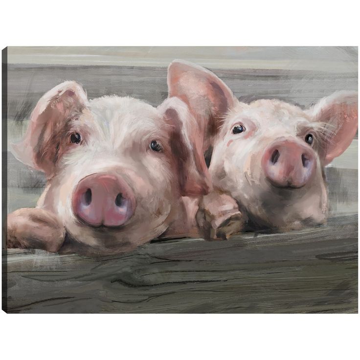 two pigs are laying down on a wooden bench looking at the camera with their eyes closed