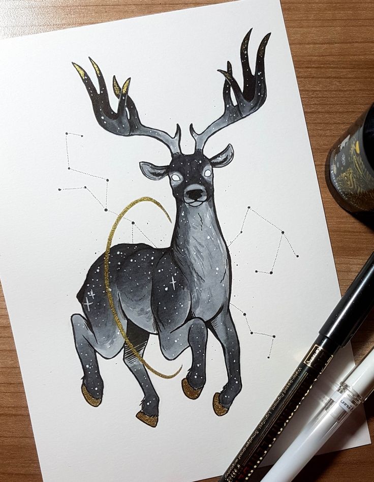 a drawing of a stag with stars on its antlers