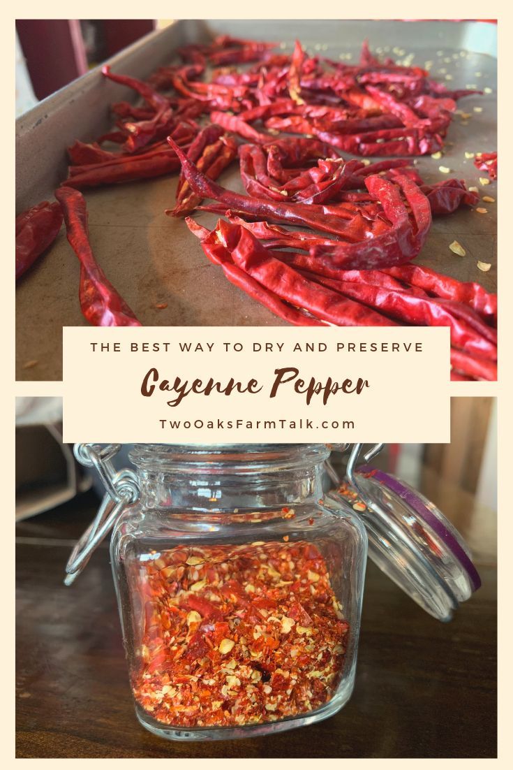 the best way to dry and preserve organic pepper