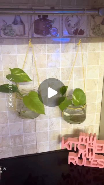 the kitchen is decorated with hanging plants