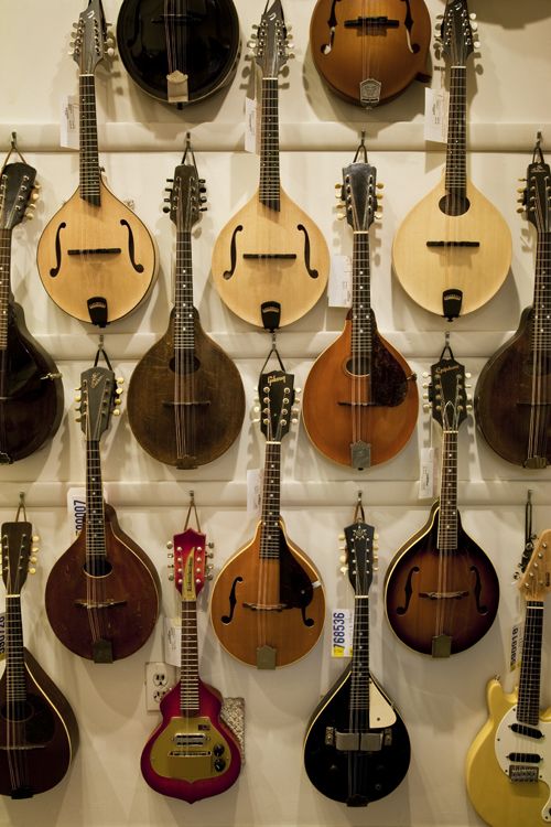 guitars are lined up on the wall for display