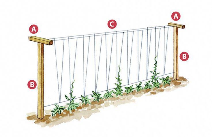 an image of a garden fence with instructions on how to build it and where to put the