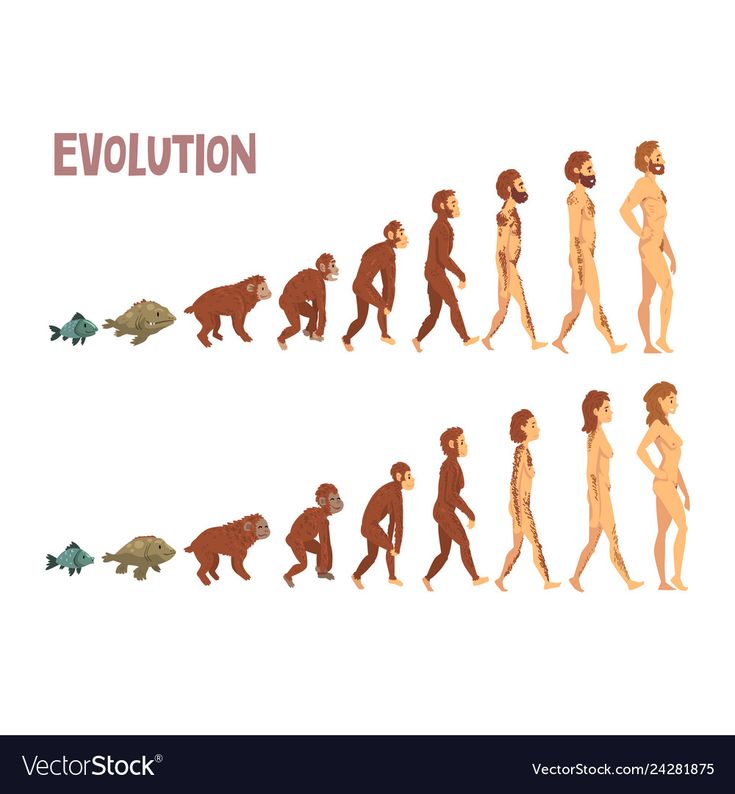 the evolution of man and woman in different stages of life, including an individual being able to