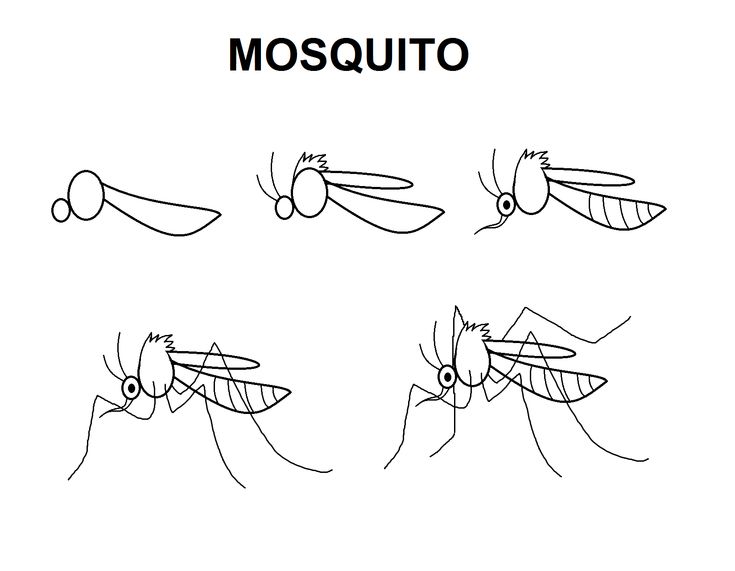 mosquitoes are drawn in different ways to learn how to draw them with their hands