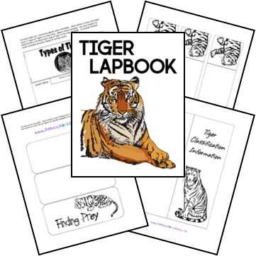 the tiger lapbook is open and ready to be used as an activity for children