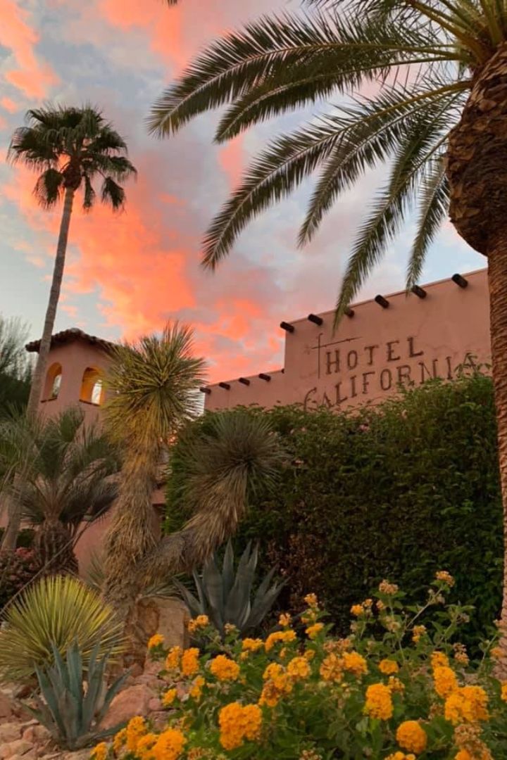 palm trees and flowers in front of the hotel california sign at sunset with pink clouds