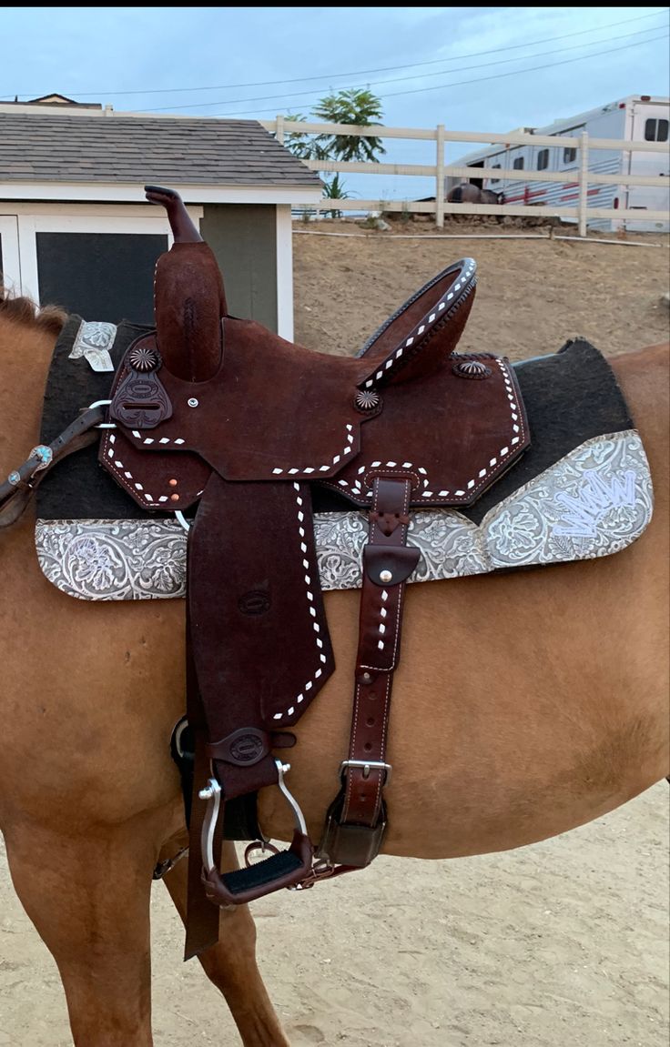 a brown horse wearing a saddle on the beach