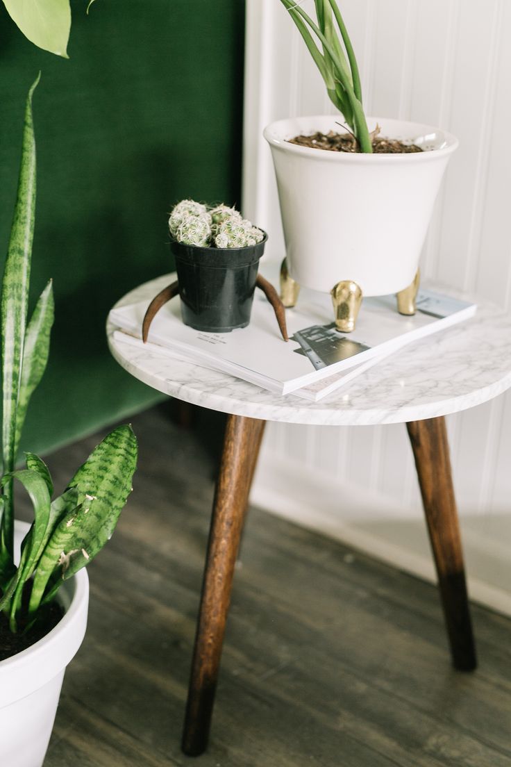 two potted plants sitting on top of a white table next to a green wall